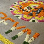 Religious Freedom Young Adults Network in India