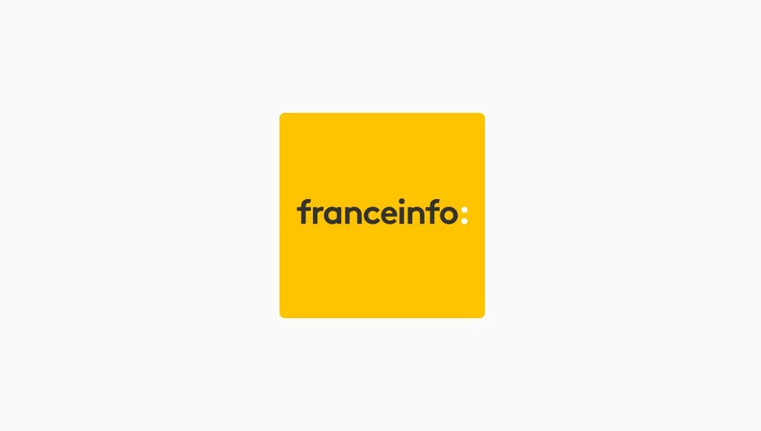 franceinfo.fr logo
