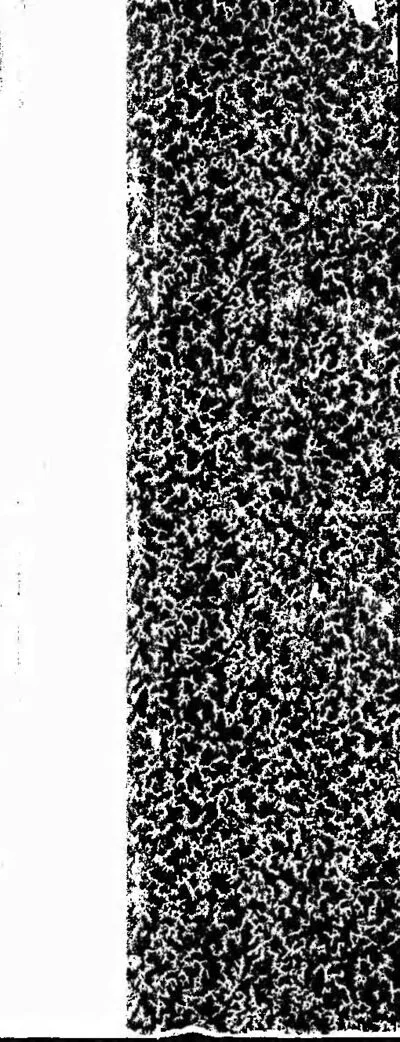 Cover for De Moderne Theologie in Nederland: Hare Voorbereiding en Eerste Periode